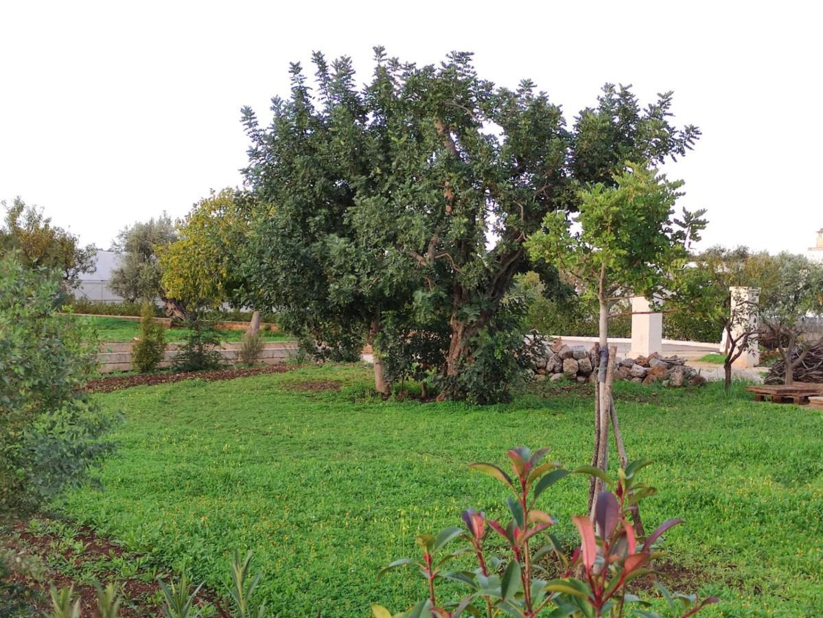 Residenza "I Tre Carrubi " Villa Fasano Ngoại thất bức ảnh